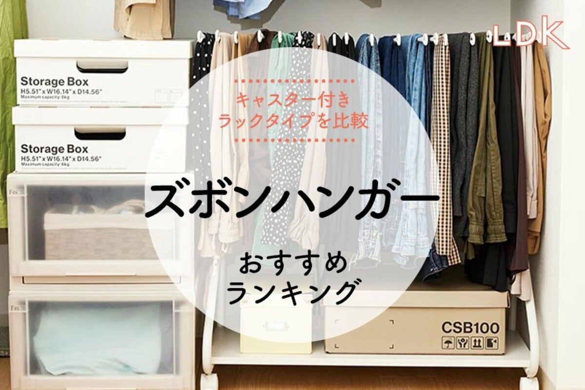 ズボンハンガーのおすすめ4選。LDKがクローゼットで使えるラックタイプ 