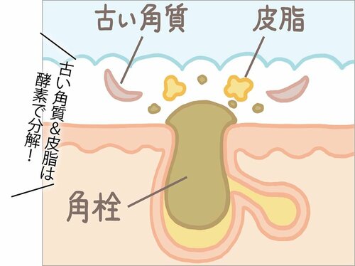 酵素で古い角質＆皮脂を溶かして毛穴詰まりを除去 イメージ