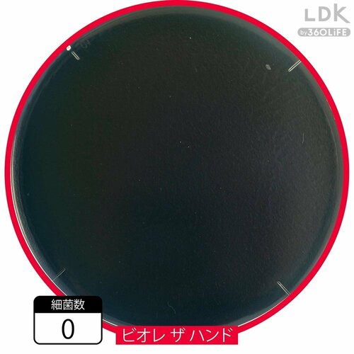 5000個以上の黄色ブドウ球菌をしっかり除菌! LDKベストバイ泡ハンドソープおすすめ イメージ2
