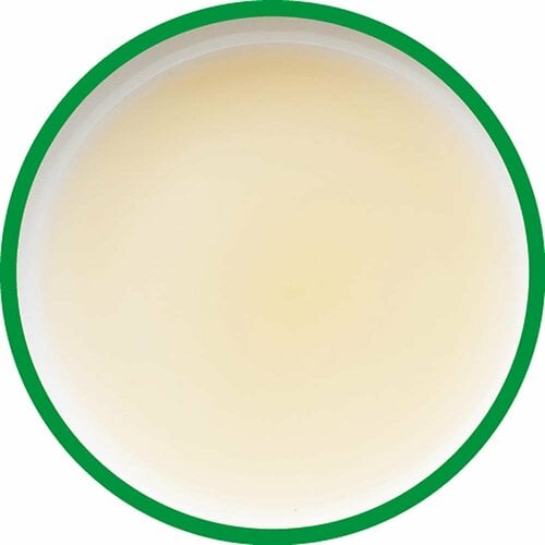 白だしおすすめ キッコーマン 旨みひろがる香り白だし イメージ2