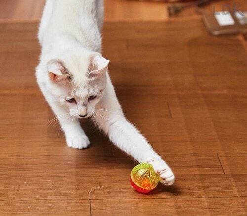 猫が激しく遊んでも壊れにくい！ 猫用おもちゃおすすめ イメージ
