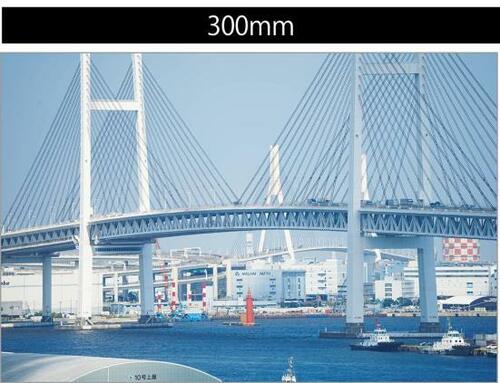 超望遠ズームレンズってどんなもの？ イメージ2