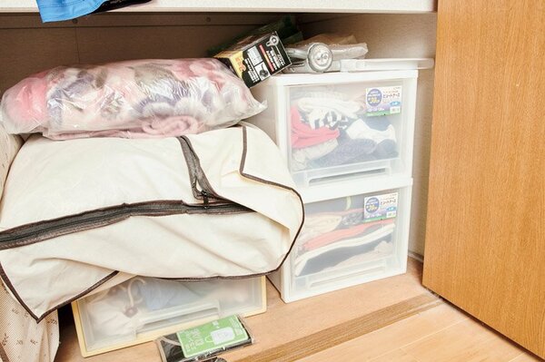 「浅型」ケースで入る量を制限するのがポイント!