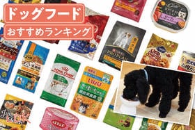 ドッグフードのおすすめランキング21選。ペット栄養管理士が市販の人気商品を徹底比較