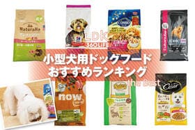 小型犬用ドッグフードのおすすめランキング7選。ペット栄養管理士と人気商品を比較
