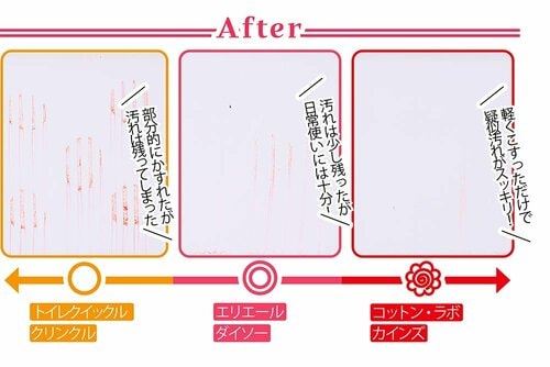 After 流せるトイレクリーナーおすすめ イメージ