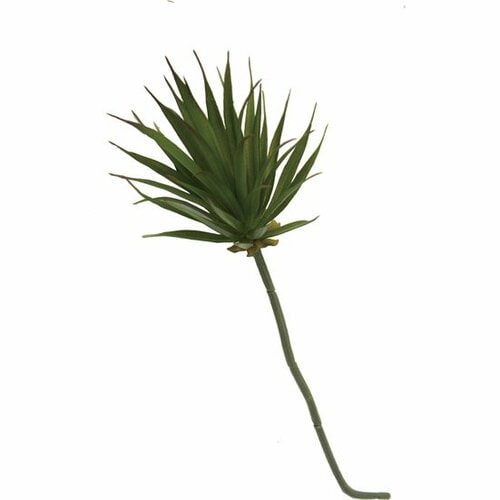 ダイソー:インテリアグリーン:ドラセナ