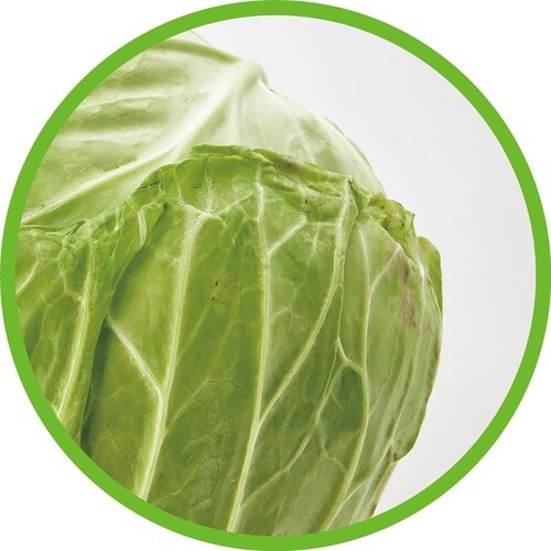野菜フレッシュキーパー:葉がしおれてクタクタ〜