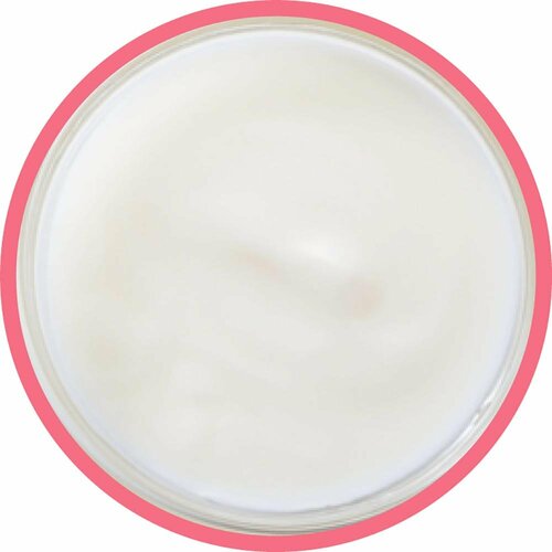 ヨーグルトおすすめ 湯田牛乳公社 プレミアム 湯田ヨーグルト 加糖 イメージ2