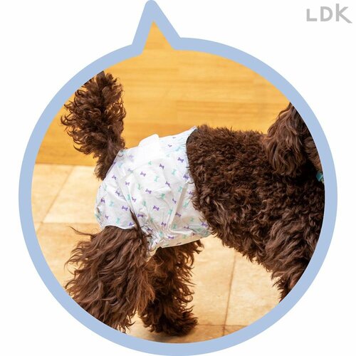 低価格で気軽に使いやすい 犬用おむつおすすめ イメージ