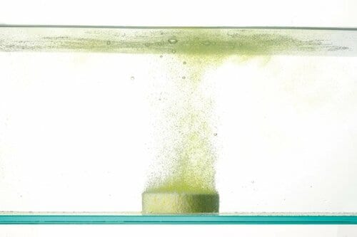 キメの細かい泡がお湯全体にシュワシュワ広がります