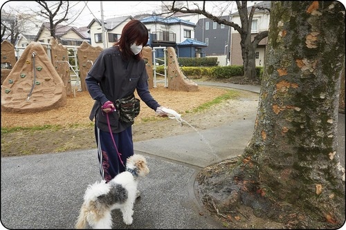 給水もマナー水洗もスムーズ 犬用給水ボトルおすすめ イメージ2