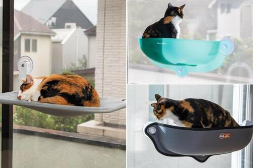 猫の窓ベッドのおすすめ まとめ 猫の窓ベッドおすすめ イメージ