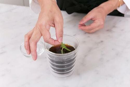 ミントコーヒーの作り方