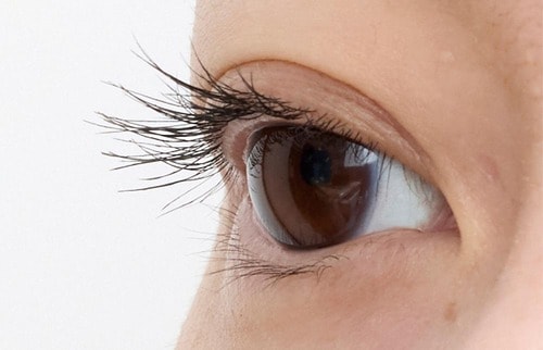 仕上がり 2025年ベストコスメ 眉&アイメイク部門おすすめ イメージ