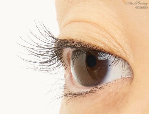 仕上がり マスカラおすすめ イメージ