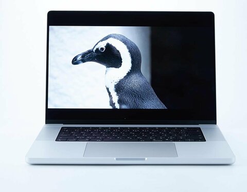 【オススメ】MacBook Pro Apple ノートパソコン 事務作業などに MacBook Pro | Apple | 株式会社Too