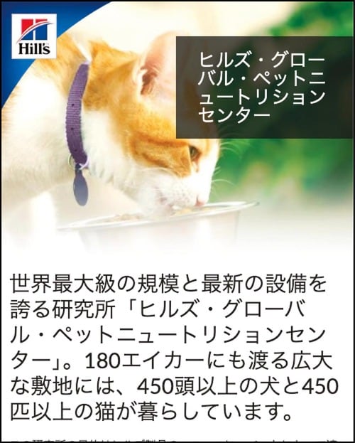 信頼性 猫用ドライフードおすすめ イメージ