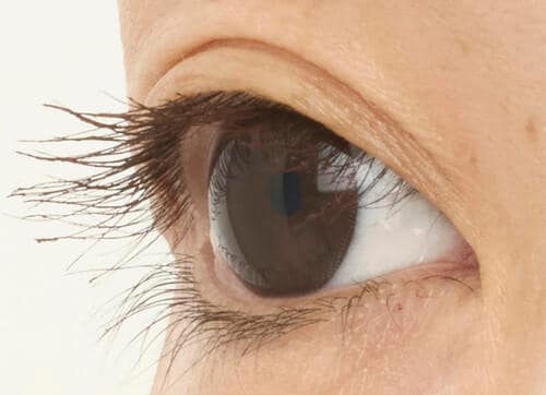 ほんのり赤みがあって瞳がうるんで見える ブラウンマスカラおすすめ イメージ