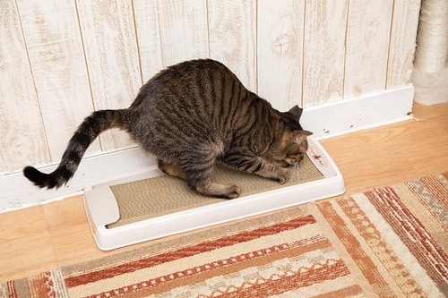 横置き型 猫用爪とぎおすすめ イメージ