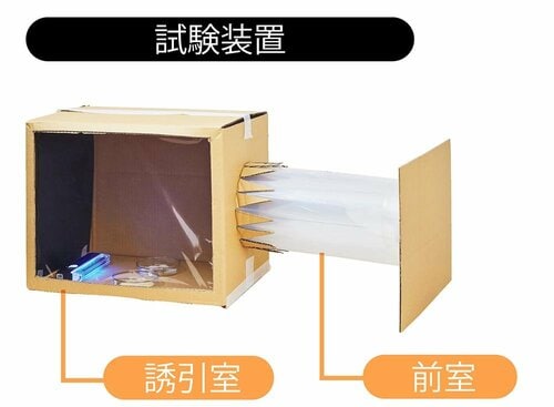 試験装置に蚊を放つ イメージ
