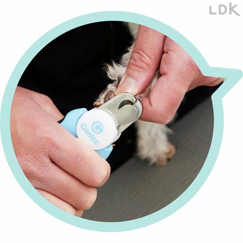 ストッパーを使うとツメが全然見えない 犬用爪切りおすすめ イメージ