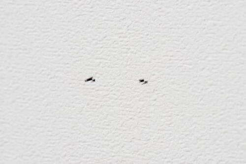 無印良品 壁に付けられる家具 箱 オーク材3