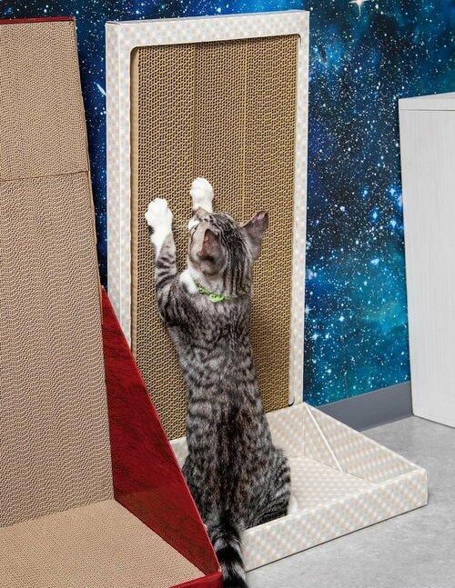 箱付きだからとぎカスが散らばりにくい 猫用爪とぎおすすめ イメージ