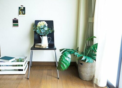 インテリアにも来客用にも使える 高見えのイスが3000円以下！ イメージ