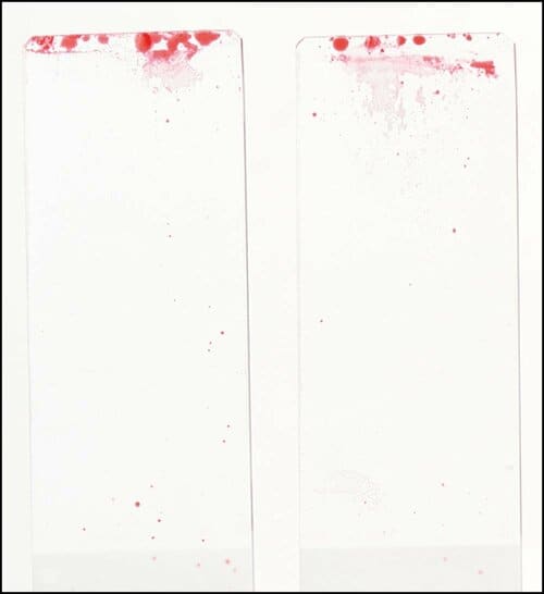 洗浄力 ボディソープおすすめ イメージ