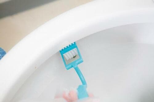 フチ裏掃除はキャンドゥの技ありトイレブラシ鏡付きで十分 イメージ2