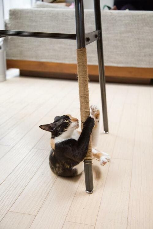 セリア「園芸・結束用麻ヒモ」2