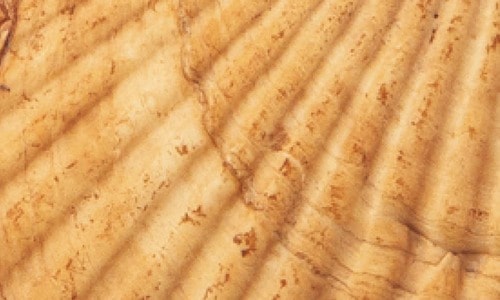 ホワイトニング前 ホワイトニングジェルおすすめ イメージ