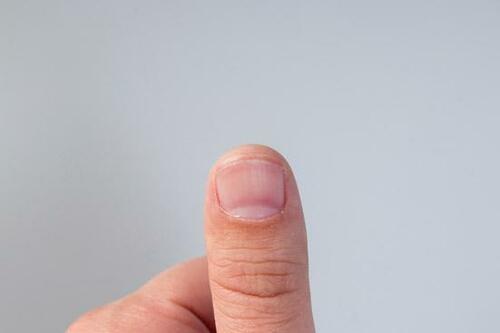 正しい爪の切り方(1):指先のカーブに沿って5~6回で切る