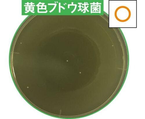 C評価: 片方の菌にやや効果あり除菌力が心配な“C評価” イメージ