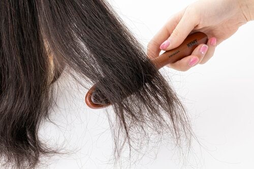 若干引っかかる ヘアブラシおすすめ イメージ