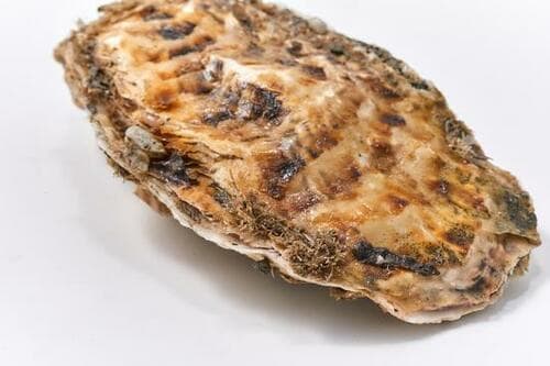 訳アリの理由は？ イメージ