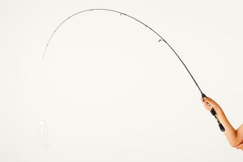 ロッド：はじめての1本ならコレほどよりしなりでルアーが投げやすい イメージ4