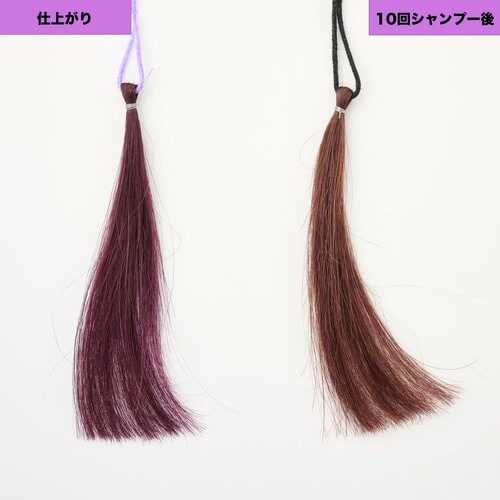 ほどよく鮮やかなパープルに パープル（紫）のヘアカラーおすすめ イメージ