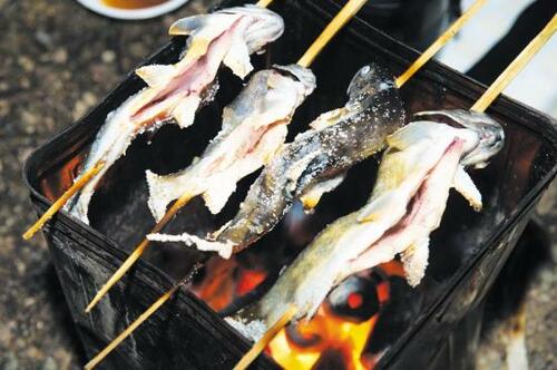 川魚は火を通すのが鉄則3つの調理法を紹介します イメージ3