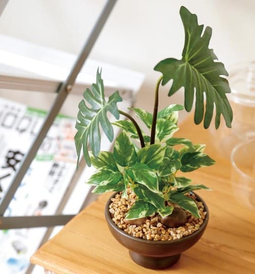 ニトリ:グリーン:フェイクグリーン