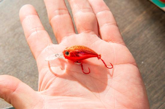 22年 クランクベイトのおすすめランキング15選 釣りメーカーのテスターが人気商品を徹底比較 360life サンロクマル