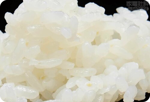 冷凍ご飯(浸漬なし) 高級炊飯器おすすめ イメージ