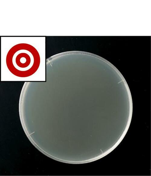 価格がちょっと高め……サラヤ「アルコール製剤」 イメージ2