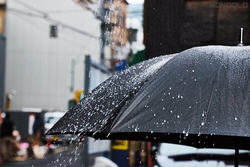 大量の水をしっかり弾く! R&D「M.モゥブレイ プロテクターアルファ」おすすめ イメージ2