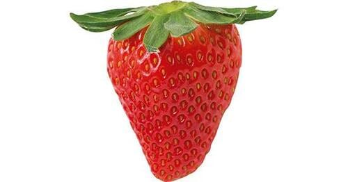 甘さ・食感・香りは品種によって違いがあります イメージ4