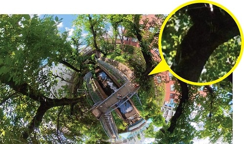 Insta 360：暗い部分に少しノイズがかかる 360度カメラおすすめ イメージ