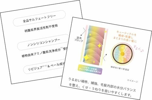 洗浄力がマイルドで保護する成分入りのものが多い カラー後シャンプーおすすめ イメージ