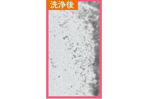 洗浄力:◎ プチプラ洗顔料おすすめ イメージ