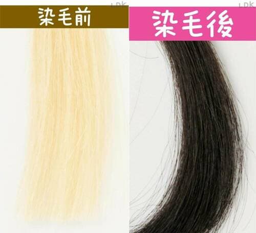 サロン ド プロ「泡のヘアカラー・エクストラリッチ(白髪用)/6」の染毛後(100%白髪)